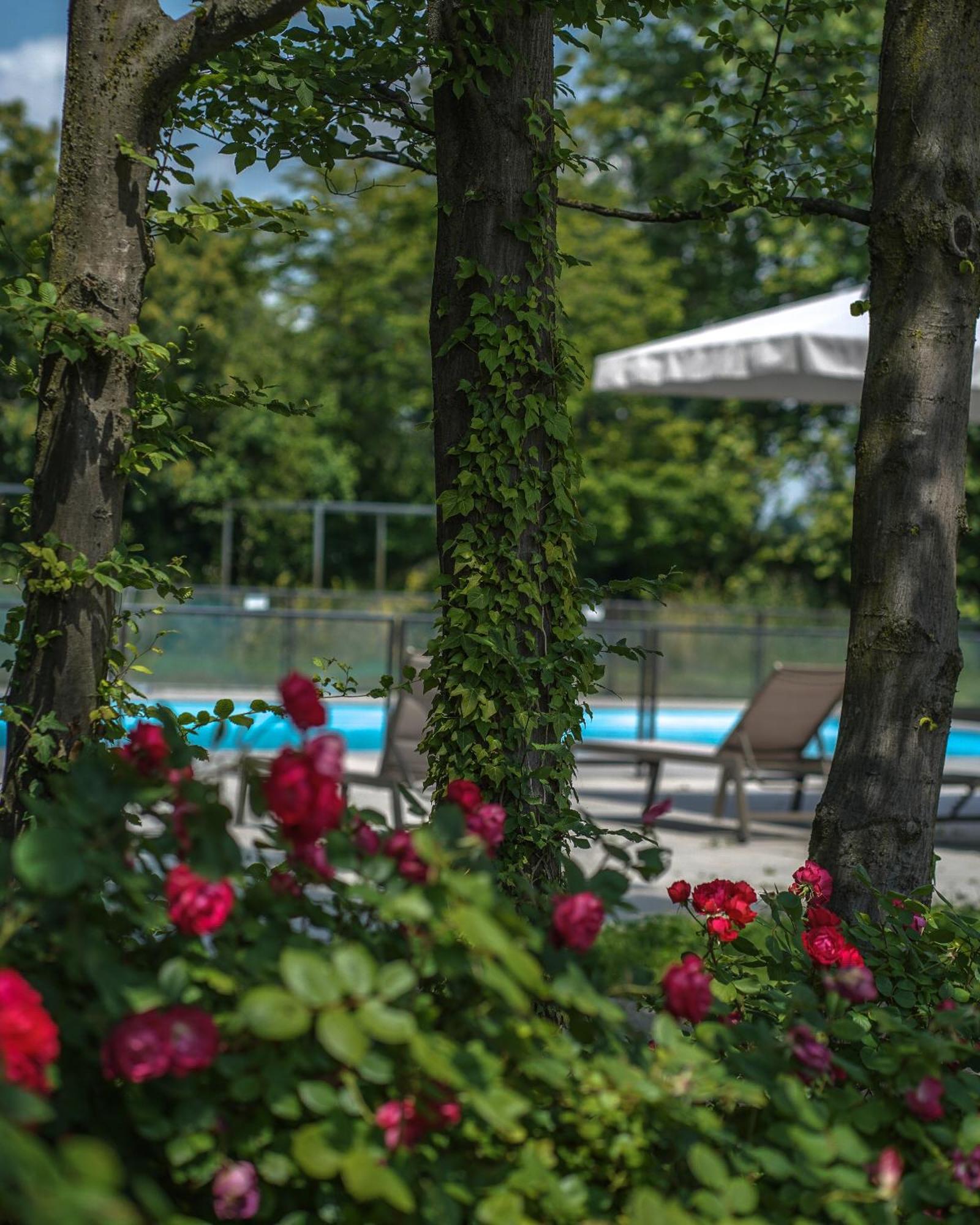 Alle Siepi Reggio Emilia Luaran gambar